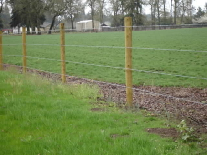 Reliable Fencing Ltd - Fences