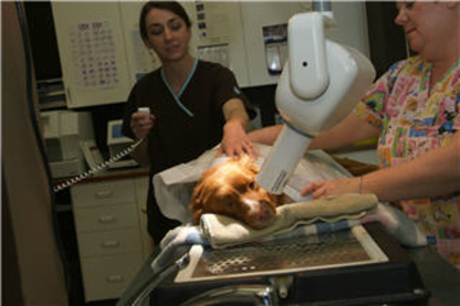 Lomsnes Veterinary Hospital Ltd - Veterinarians