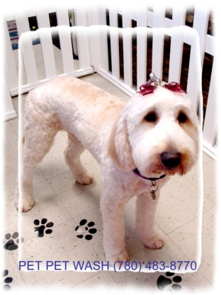 Pet Pet Wash Professional Dog Grooming Ltd - Pet Grooming, Clipping & Washing