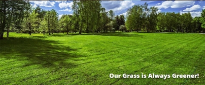 LakeView Synthetic Turf - Sod & Sodding Service