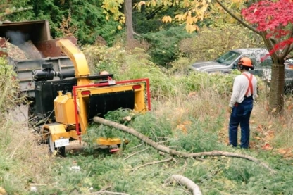 Dynamic Tree Services Inc - Service d'entretien d'arbres