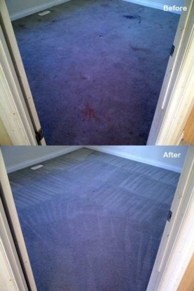 Octopus Operations Ltd - Carpet & Rug Cleaning