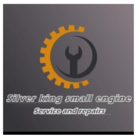 SilverKing Small Engine - Tondeuses à gazon