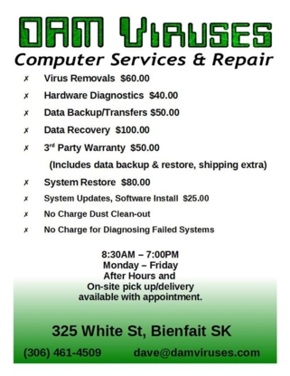 DAM Viruses Computer Services & Repair - Computer Repair & Cleaning
