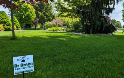 Dr. Green Services - Lawn Maintenance