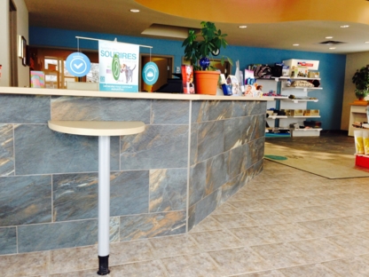 Clinique Vétérinaire De Valleyfield inc - Vétérinaires