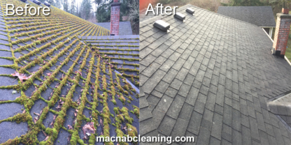 MacNab Exterior Cleaning - Building Exterior Cleaning