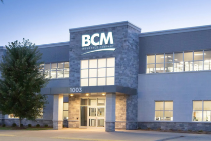 BCM (Bertie and Clinton Mutual) Insurance Company - Insurance