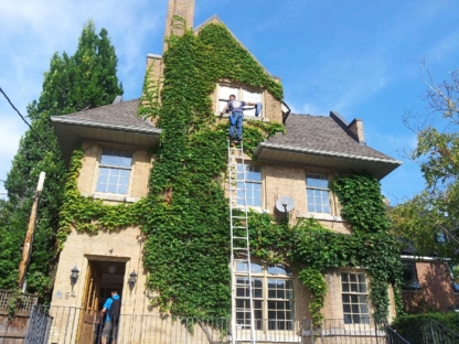 White Shark Window Cleaning - Eavestroughing & Gutters