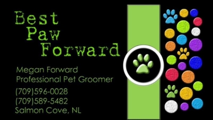 Best Paw Forward - Toilettage et tonte d'animaux domestiques