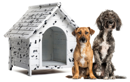 That DogCompany - Traitement et élimination de déchets résidentiels et commerciaux