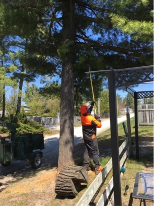 Gabriel Tree Inc - Tree Service