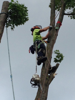 Hilltop Tree Care - Tree Service