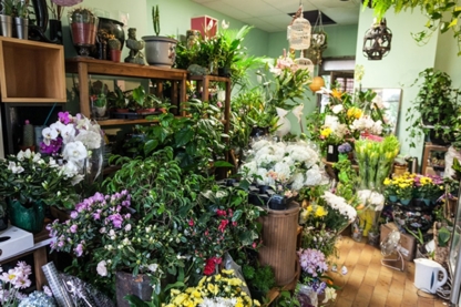 Dragon Flowers - Fleuristes et magasins de fleurs