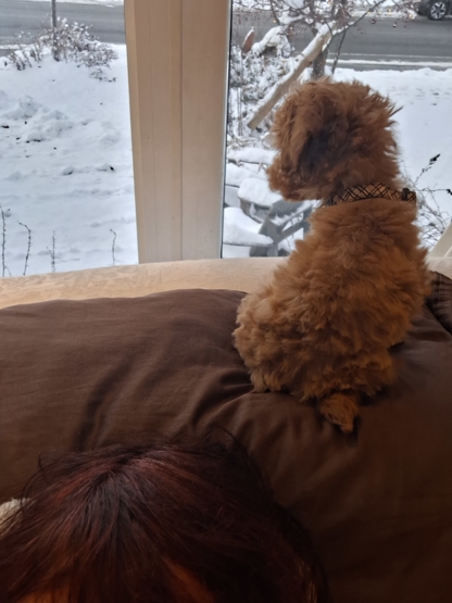 Rory Batchilder Psychotherapy - Psychotherapy