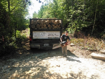 Destrehan removal, conifer LA stump hedge 70047