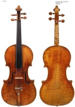 La Maison Du Violon - Luthiers
