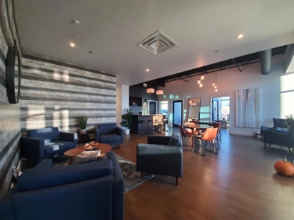 Chris Raposo - Kingston On Realtor