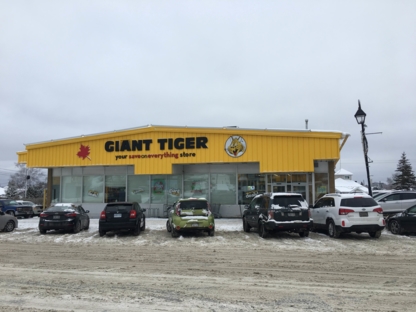 Giant Tiger - Grands magasins