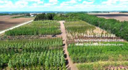 Sylvan West Tree Farms - Nurseries & Tree Growers