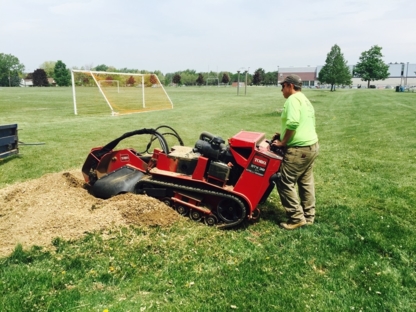Professional Tree Services - Tree Service