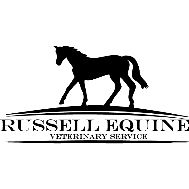 Russell Equine Veterinary Service - Vétérinaires