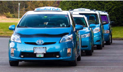 Blue Bird Cabs Ltd - Taxis