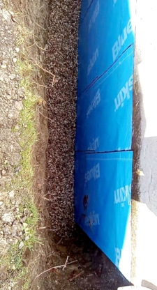 View Waterproof Kingz’s Domain profile