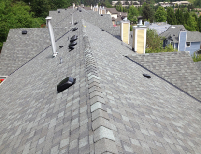APE Roofing & Exteriors - Roofers