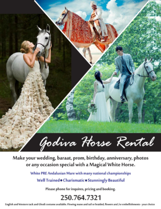 Godiva - Horse Rentals for Special Events - Wedding Planners & Wedding Planning Supplies