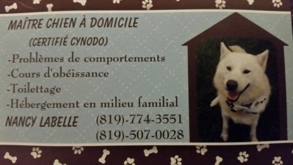 Nancy Labelle Maître Chien à Domicile - Garderie d'animaux de compagnie