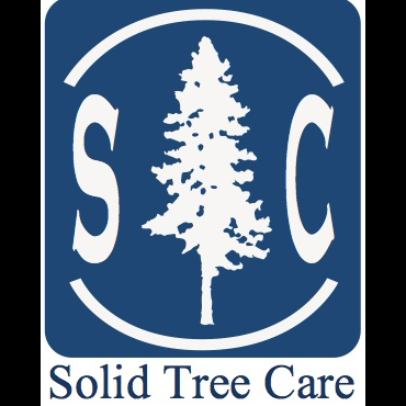 Solid Tree Care - Service d'entretien d'arbres