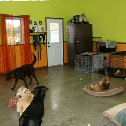Complexe Canin Le Cajoleur - Garderie d'animaux de compagnie