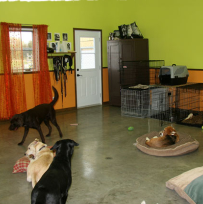 Complexe Canin Le Cajoleur - Pet Sitting Service