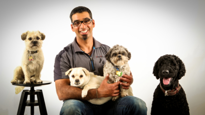 Cani-Vie - Dog Training & Pet Obedience Schools