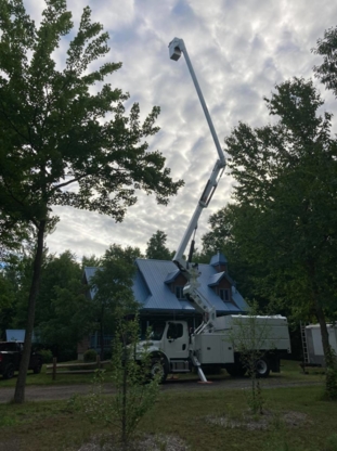 Arbre NB - Service d'entretien d'arbres