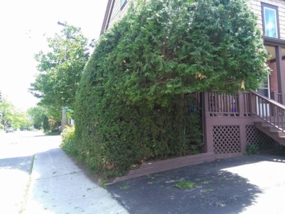 Hedge Cutters Ottawa - Apartments