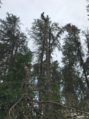 Émondage SI - Tree Service