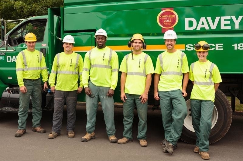 Davey Tree Expert Co Of Canada Limited - Service d'entretien d'arbres