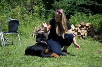 Rose Proulx Intervenante Canin - Dressage et éducation d'animaux de compagnie