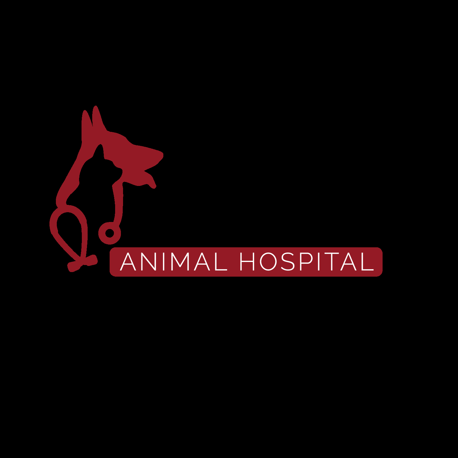 Island City Animal Hospital - Vétérinaires