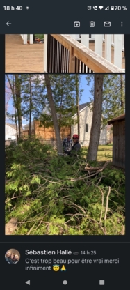 Arbo-douceur inc - Tree Service