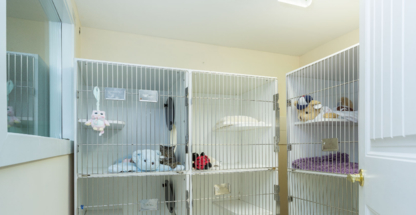 Carey Pet Care Services - Services pour animaux de compagnie