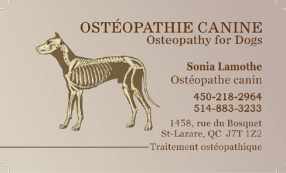 Osthéopatie canine - Ostéopathie
