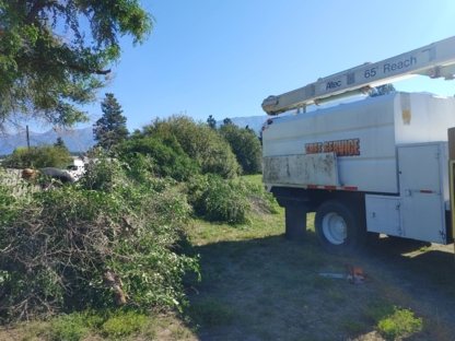 DW Tree Removal - Service d'entretien d'arbres