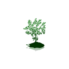 McKenzie & Blundy Funeral Home & Cremation Centre - Salons funéraires