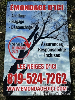 Émondage d'ici - Tree Service