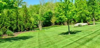 2EZ Lawn Care & Tree Services - Lawn Maintenance