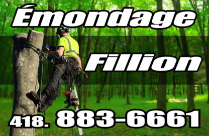 Emondage Fillion - Service d'entretien d'arbres