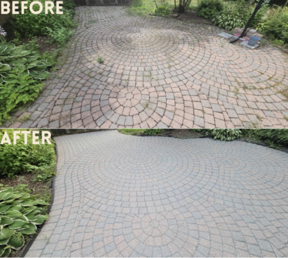 The Wash Doctor - Chemical & Pressure Cleaning Systems